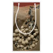 ベビーのカメの卵の工夫 スモールペーパーバッグ (正面)