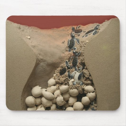 ベビーのカメの卵の工夫 マウスパッド (正面)