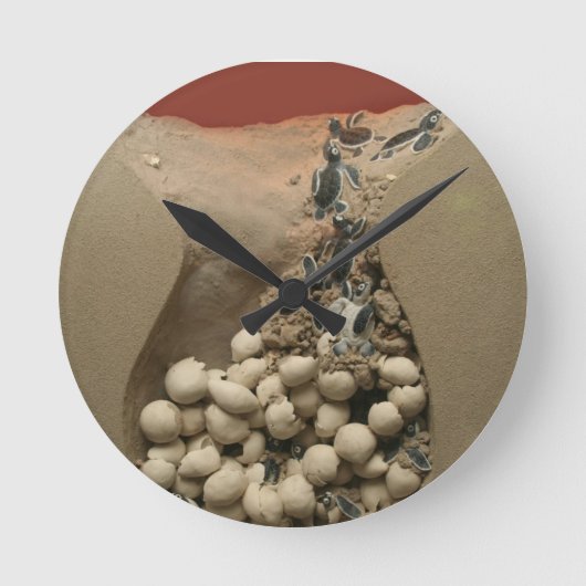ベビーのカメの卵の工夫 ラウンド壁時計 (正面)