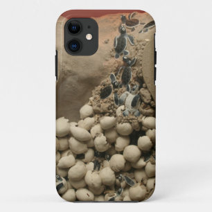 ベビーのカメの卵の工夫 iPhone 11 ケース