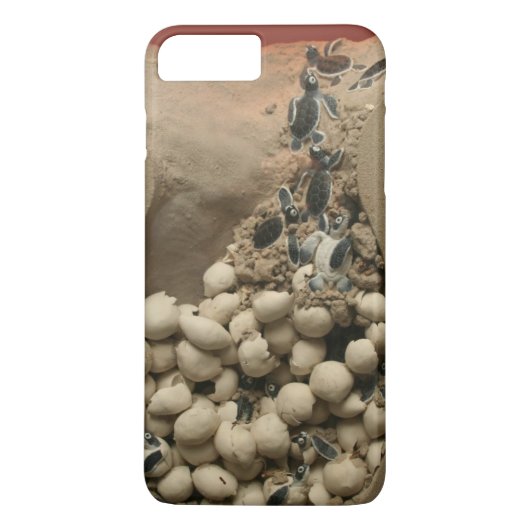 ベビーのカメの卵の工夫 Case-Mate iPhoneケース (裏面)