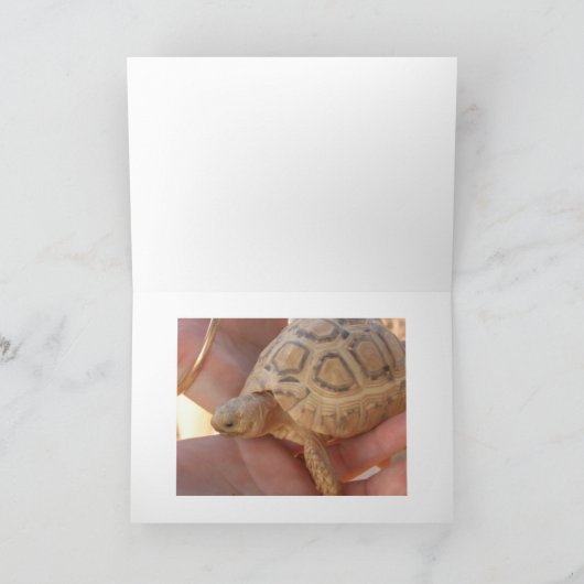 ベビーのカメ カード (内部)