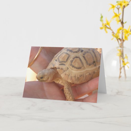 ベビーのカメ カード (黄色い花)