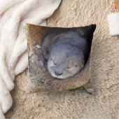 ベビーのカワウソ クッション (ブランケット)