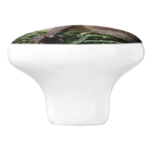 ベビーのガチョウのゴスリングの鳥の野性生物動物のノブ セラミックノブ