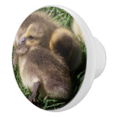 ベビーのガチョウのゴスリングの鳥の野性生物動物のノブ セラミックノブ (右)