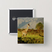 ベビーのキリンの野性生物バッジ及びボタン 缶バッジ (正面&裏面)