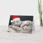 ベビーのクリスマスの帽子を持つ白いベンガルトラ シーズンカード (裏面)