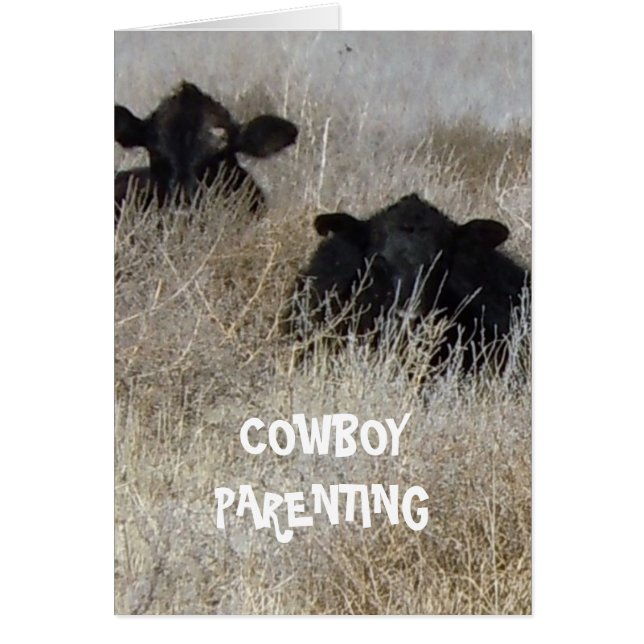 ベビーのゲーム-カウボーイのParenting --を遊びます (正面)
