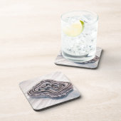 ベビーのコーンスネーク コースター (右側)