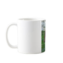 ベビーのゴリラ