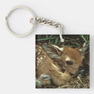 ベビーのシカKeychain キーホルダー