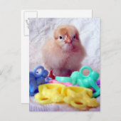 ベビーのシック、ベビーシャワーに最適 インビテーションポストカード (正面/裏面)