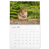 ベビーのシマリス2016/2017 (16か月のカレンダー) カレンダー (1月 2027)