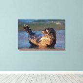 ベビーのシールが尾を持ち上げる キャンバスプリント (インサイチュ (ウッドフロア))