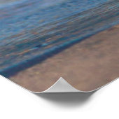 ベビーのシールが尾を持ち上げる ポスター (角)