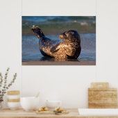 ベビーのシールが尾を持ち上げる ポスター (キッチン)