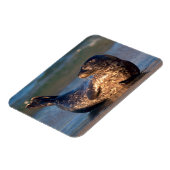 ベビーのシールが尾を持ち上げる マグネット (左側)