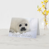 ベビーのタテゴトアザラシ カード (黄色い花)