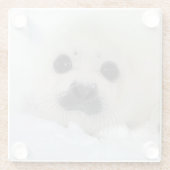 ベビーのタテゴトアザラシ ガラスコースター (裏面)