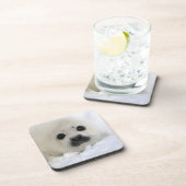 ベビーのタテゴトアザラシ コースター (右側)