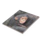 ベビーのチンパンジー タイル (側面)