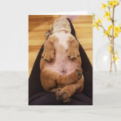 ベビーのトールブルドッグの挨拶状 カード (黄色い花)