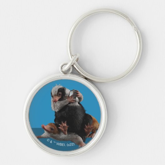 ベビーのニフラーが賞を見つける キーホルダー (正面)