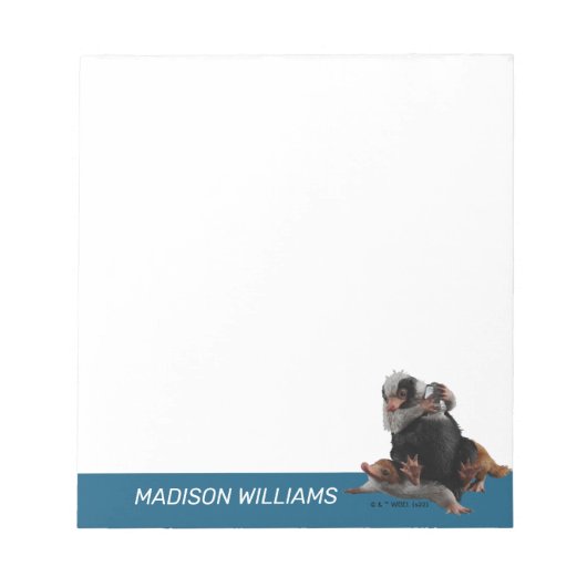 ベビーのニフラーが賞を見つける ノートパッド (正面)