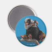 ベビーのニフラーが賞を見つける マグネット (正面/裏面)