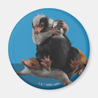 ベビーのニフラーが賞を見つける マグネット