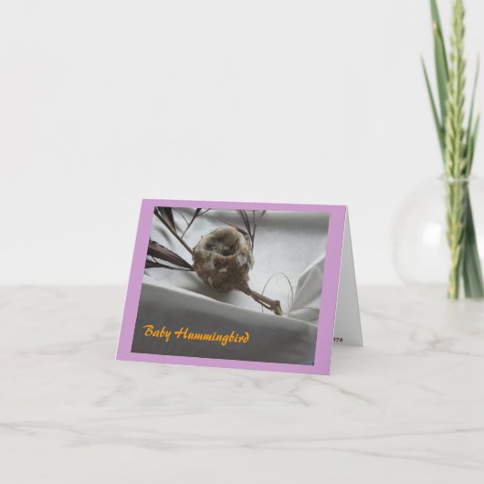ベビーのハチドリ サンキューカード (正面)