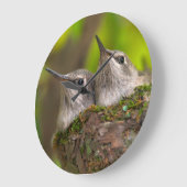 ベビーのハチドリ ラージ壁時計 (傾斜)