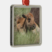ベビーのバッファローのオーナメント メタルオーナメント (右)