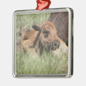 ベビーのバッファローのオーナメント メタルオーナメント (左)