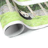 ベビーのパンダ ラッピングペーパー (ロールコーナー)