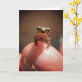 ベビーのヒキガエル/オタマジャクシ カード (黄色い花)