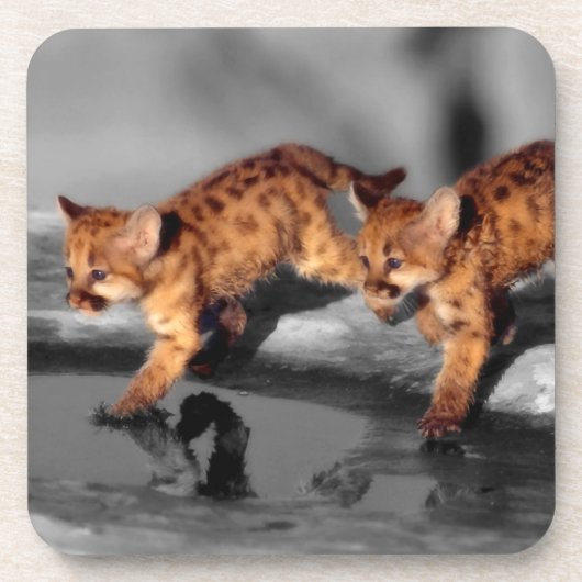 ベビーのヒョウ コースター (正面)