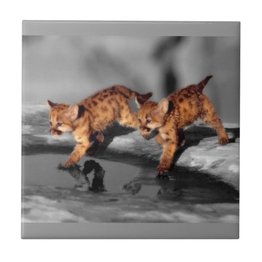 ベビーのヒョウ タイル (正面)