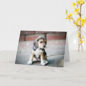 ベビーのビーグル犬のモデル カード (黄色い花)