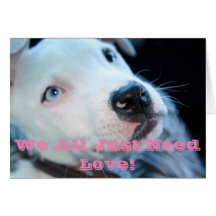 ベビーのピット・ブルの子犬