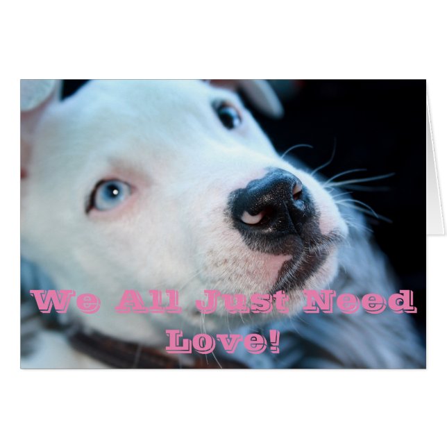 ベビーのピット・ブルの子犬 (正面横)