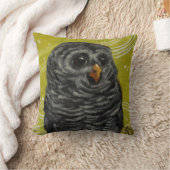 ベビーのフクロウの装飾用クッション天球の音楽 クッション (ブランケット)
