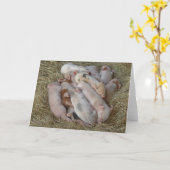 ベビーのブタ、コブタ-かわいいベビー動物 カード (黄色い花)