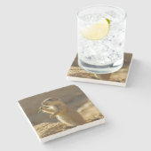 ベビーのプレーリードッグの食べ物、アリゾナ ストーンコースター (横)