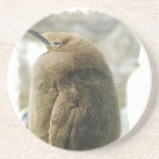 ベビーのペンギンのコースター コースター (正面)