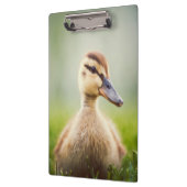 ベビーのマガモの素早く身をかがめること クリップボード (左)