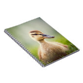 ベビーのマガモの素早く身をかがめること ノートブック (右側)