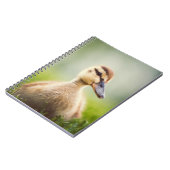 ベビーのマガモの素早く身をかがめること ノートブック (左側)