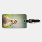 ベビーのマガモの素早く身をかがめること ラゲッジタグ (正面横)